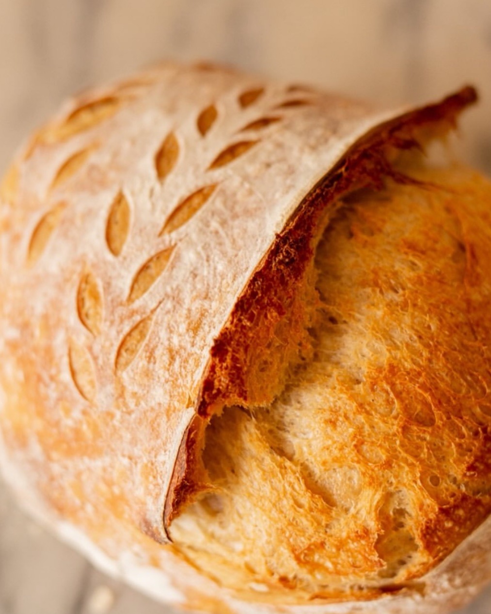 From our family’s farm to your family’s plate.